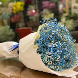 Gypsophila Bouquet